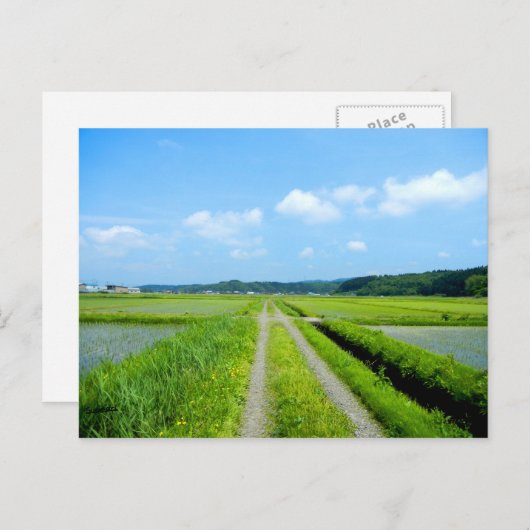 Tanbo Road Briefkaart (Voorkant / Achterkant)