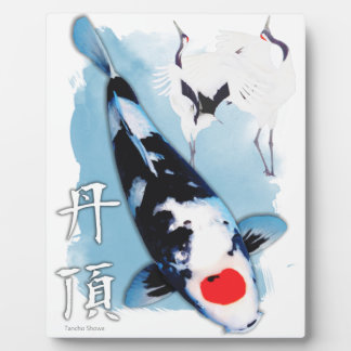 Tancho koi fotoplaat