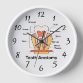 Tand Anatomie Grafiek grote wandklok (Voorkant)