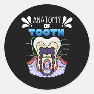 Tand Anatomie Tandarts Humor voor Orthodontist Ronde Sticker