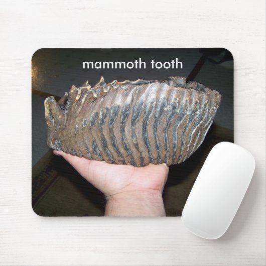 tand, mammtand muismat (Met muis)