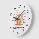 Tandanatomiegrafiek Grote Klok (Hoek)
