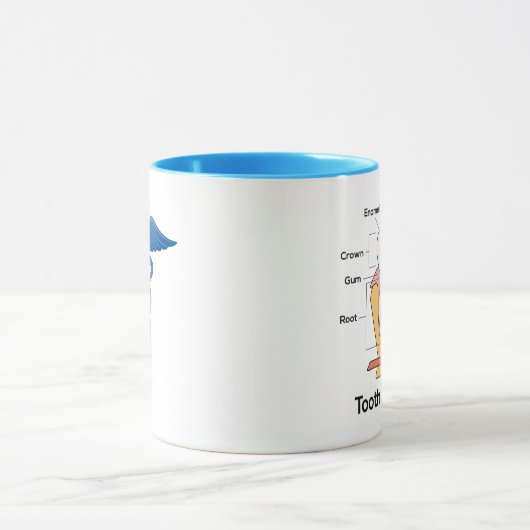 Tandanatomiegrafiek Mok (Midden)