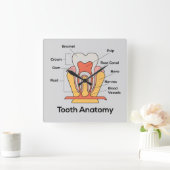 Tandanatomieklok Vierkante Klok (Huis)