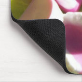 tandarts muismat (Hoek)