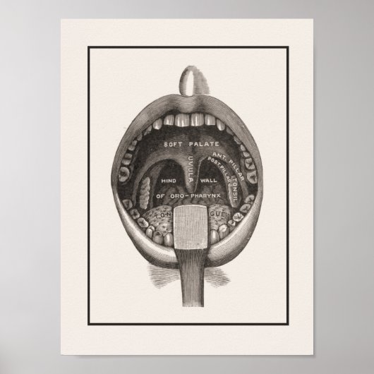 Tandbraswand Poster (Voorkant)