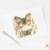 Tandem Butterflies over groene bladeren Vierkante Sticker (Envelop)