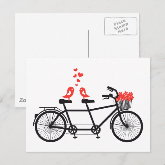tandem fiets met schattige liefdesvogels briefkaart (Voorkant / Achterkant)