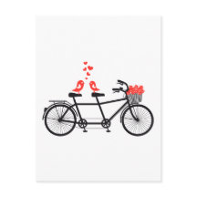 tandem fiets met schattige liefdesvogels