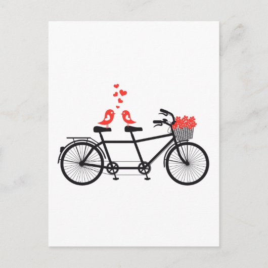 tandem fiets met schattige liefdesvogels briefkaart (Voorkant)