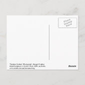 Tandem Snakes Briefkaart (Achterkant)