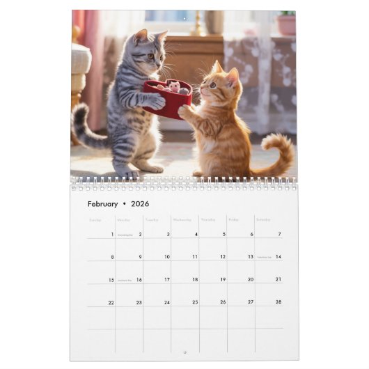 Tandem Tabbies Calendar Kalender (Feb 2026)