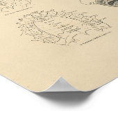 tandheelkundige Anatomie 1880 Afdruk Poster (Hoek)