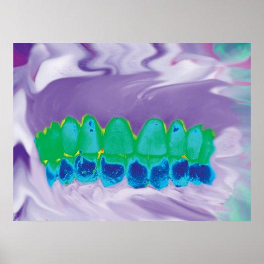 Tandheelkundige anatomie met een kleurrijk tandmod poster (Voorkant)