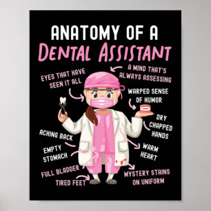 tandheelkundige anatomie van een tandheelkundige poster