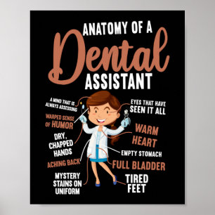 tandheelkundige anatomie van een tandheelkundige poster