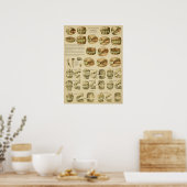Tandheelkundige leeftijd van paardentanden poster (Keuken)