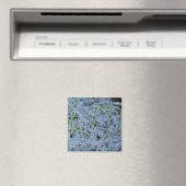 Tandheelkundige scanner, gekleurd magneet (Insitu (Vaatwasser))