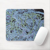 Tandheelkundige scanner, gekleurd muismat (Met muis)