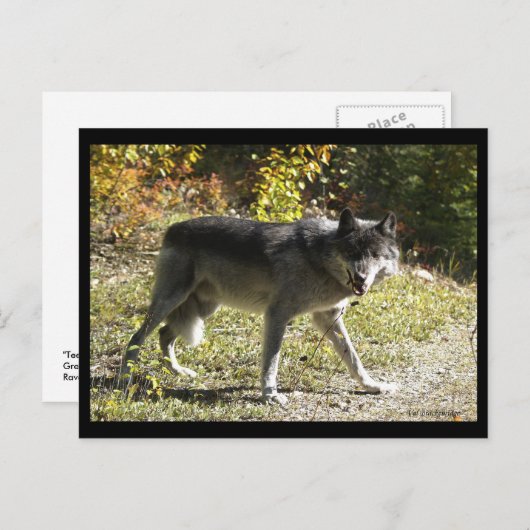 "Tandjes" Post Kaart (Voorkant / Achterkant)