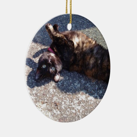 Tandschilderkat Keramisch Ornament (Rechts)