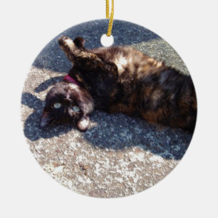Tandschilderkat Keramisch Ornament