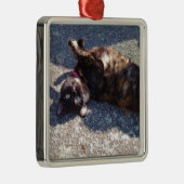 Tandschilderkat Metalen Ornament (Rechts)