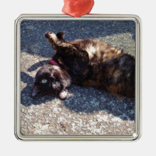 Tandschilderkat Metalen Ornament