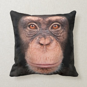 Tandtapijtschaap Kussen