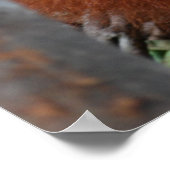 Tandverzorger Kindertandheelkundige Poster (Hoek)