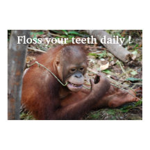 Tandverzorger Kindertandheelkundige