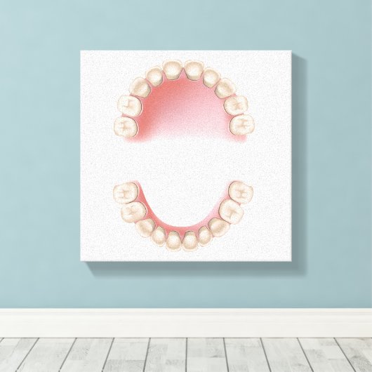 Tandvleesklier (baby) canvas afdruk (Insitu (Houten vloer))