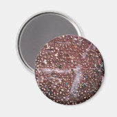 Tandvleeswand Magneet (Voorkant / Achterkant)