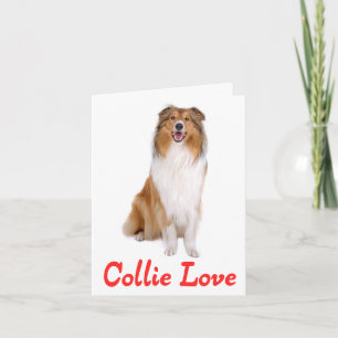 Tane en witte Collie Puppy Hond Blanke Kaart