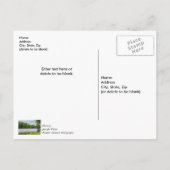 Taneycomo Meer Zomer Mist Dank U Postkaart (Achterkant)