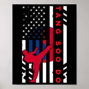 Tang Soo Do Martial Arts Karate Amerikaanse Vlag V Poster