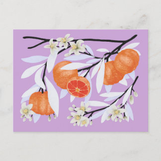 Tangerine Citrus Blooming Branches Floral Lila Briefkaart