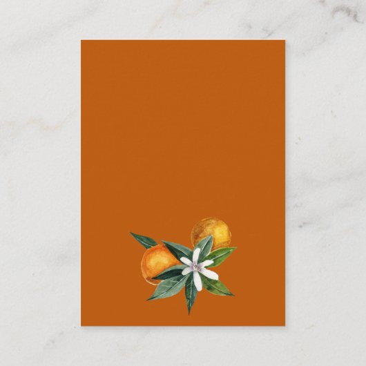 Tangerine Citrus BRUILOFT Details Accommodatie Informatiekaartje (Achterkant)