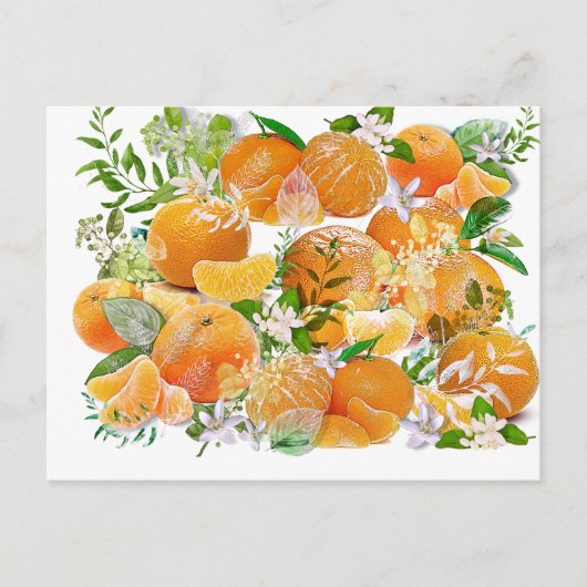 Tangerine Dreams Briefkaart (Voorkant)