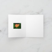 TANGERINE GEKLEURD ROOS (FOTO) KAART (Binnen)