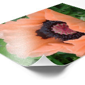 Tangerine gekleurde papaver 2 foto afdruk (Hoek)