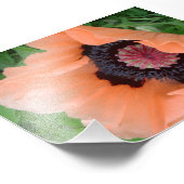 Tangerine-gekleurde papaver foto afdruk (Hoek)