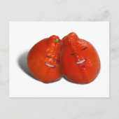 Tangerine Koppel Briefkaart (Voorkant)