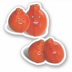 Tangerine Liefde Sticker