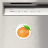 Tangerine Magneet (Insitu (Vaatwasser))