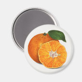 Tangerine Magneet (Voorkant / Achterkant)