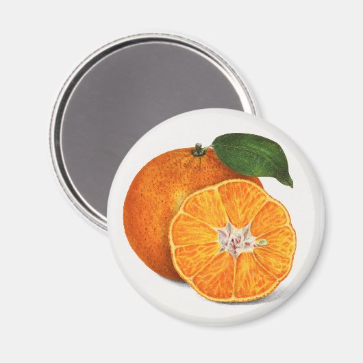 Tangerine Magneet (Voorkant / Achterkant)