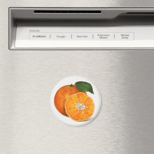 Tangerine Magneet (Insitu (Vaatwasser))