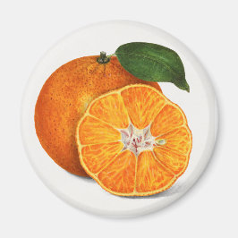 Tangerine Magneet