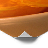 Tangerine Poster (Hoek)